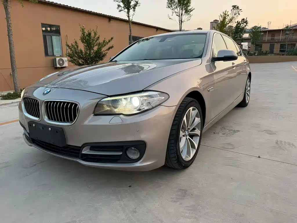 BMW 5 Series 2015