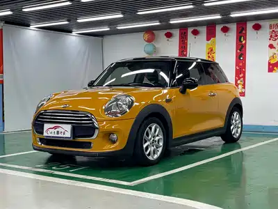 MINI MINI 2015