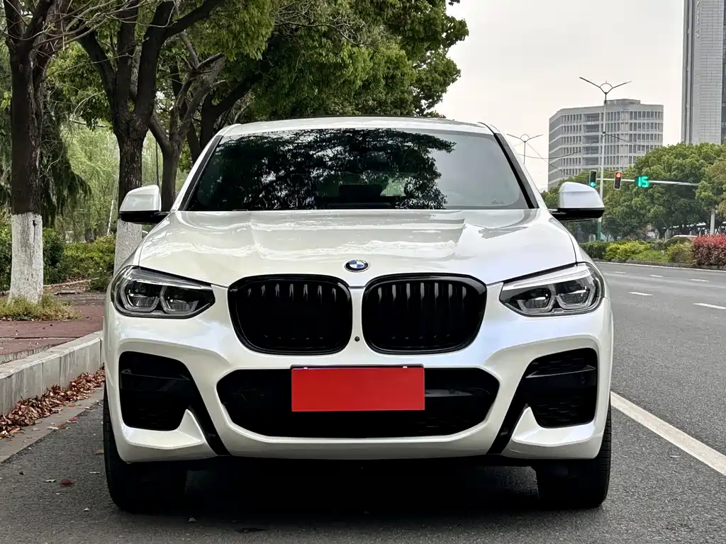 BMW X4 2021 — фото 2
