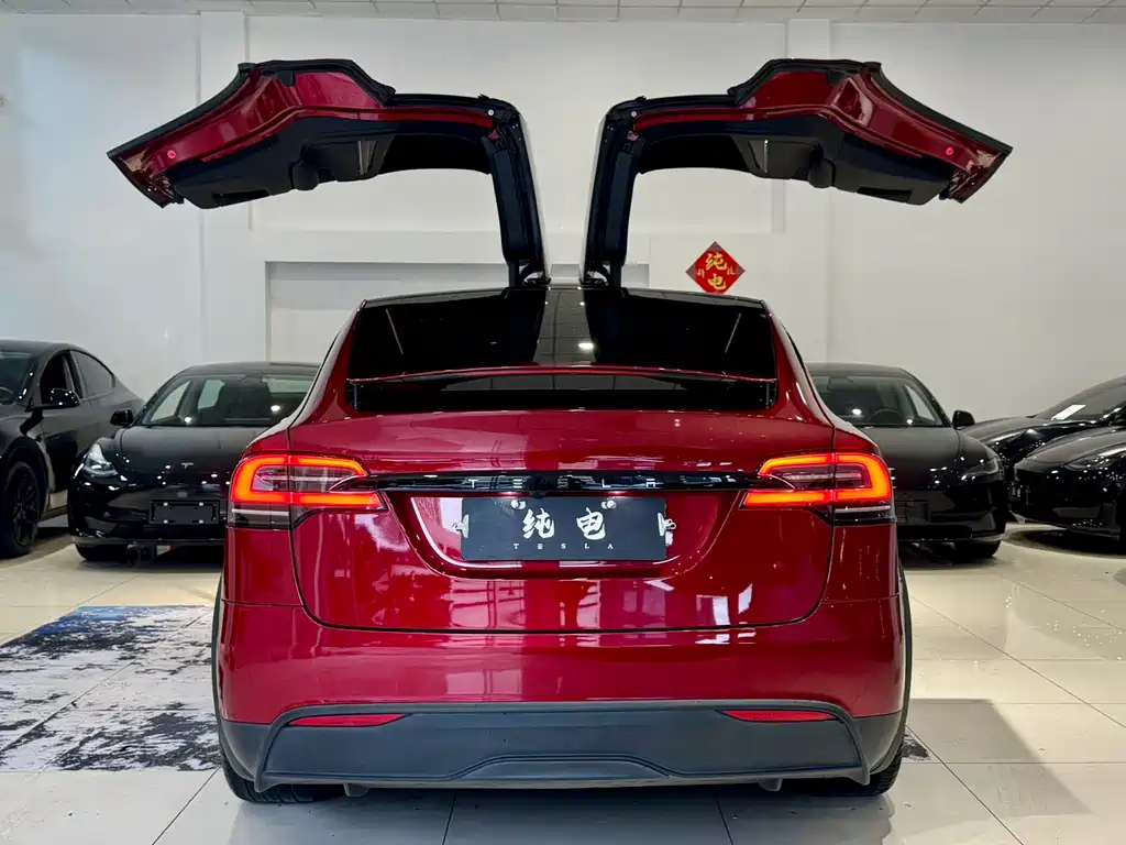 Tesla Model X 2023 — фото 17