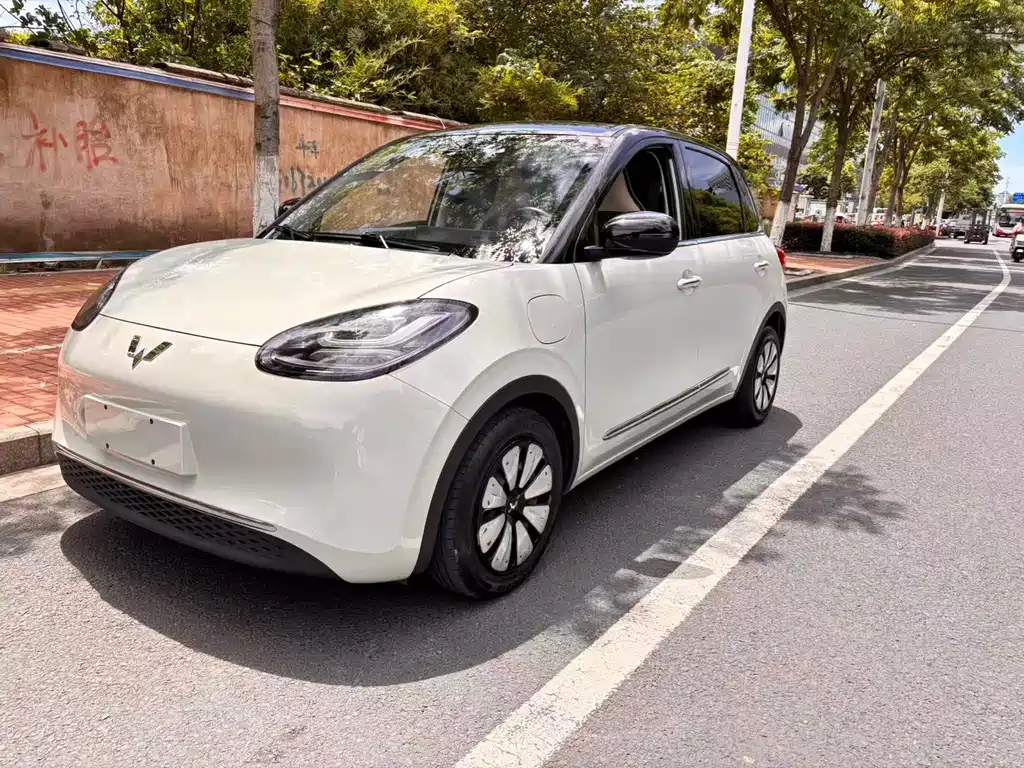 Wuling Bingo 2023