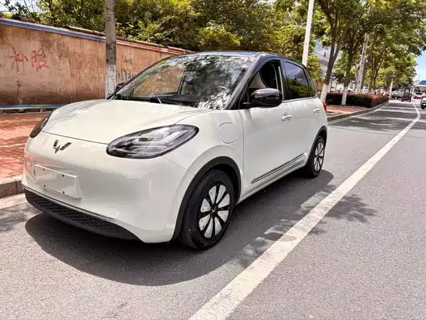 Wuling Bingo 2023