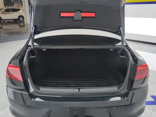 Volkswagen Magotan 2020