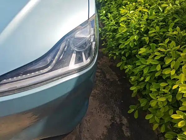 Neta V 2022