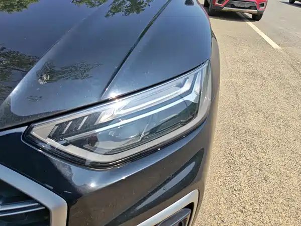 Audi Q5L 2023
