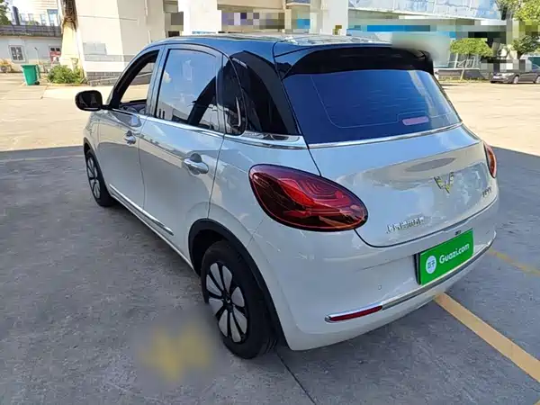 Wuling Bingo 2024