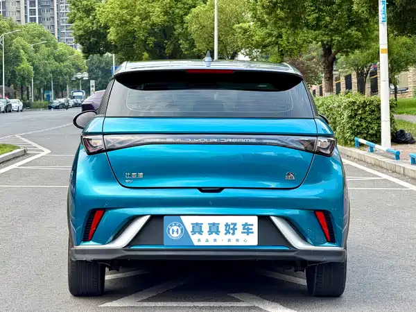 BYD Dolphin 2022