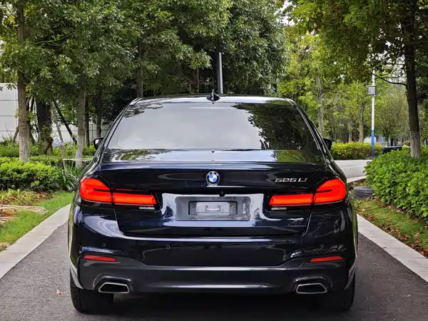 BMW 5 Series 2019