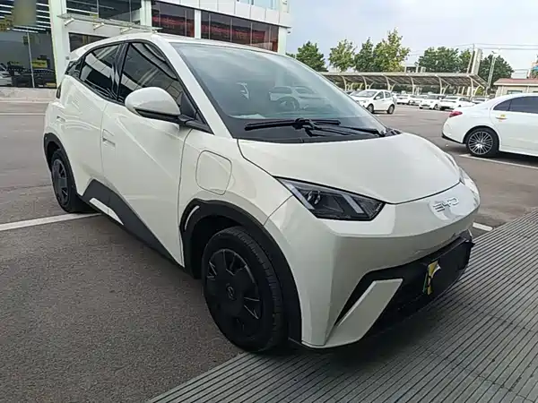 BYD Seagull 2024