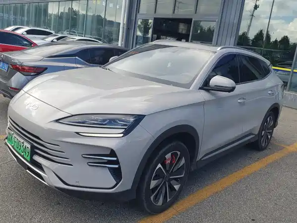 BYD Song PLUS New Energy 2024