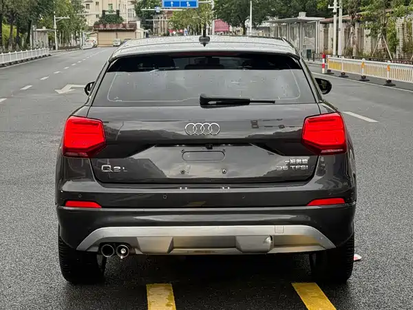Audi Q2L 2019