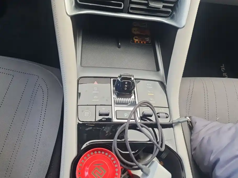 BYD Song PLUS New Energy 2024 — фото 16