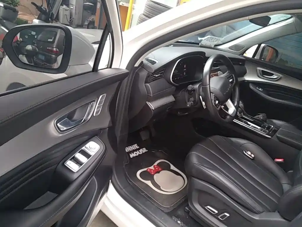 Roewe RX5 eMAX 2020 — фото 16