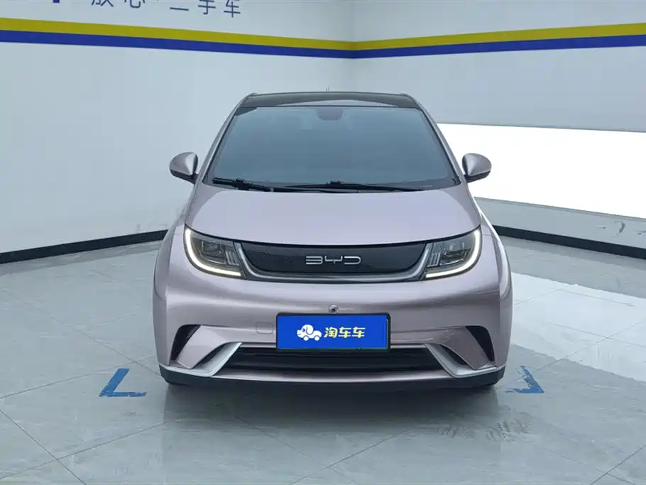 BYD Dolphin 2021