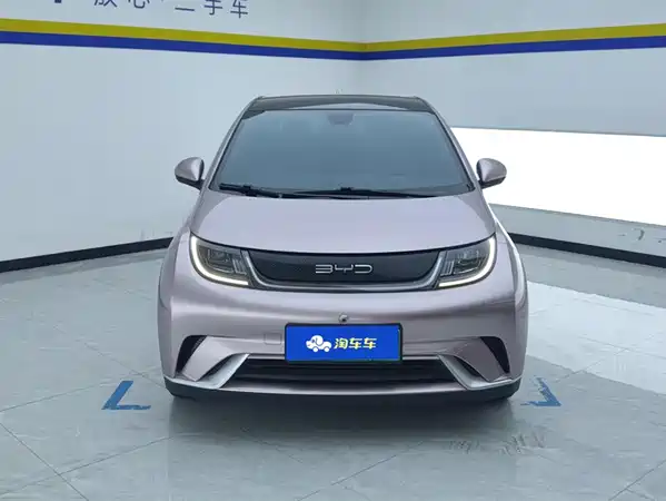 BYD Dolphin 2021