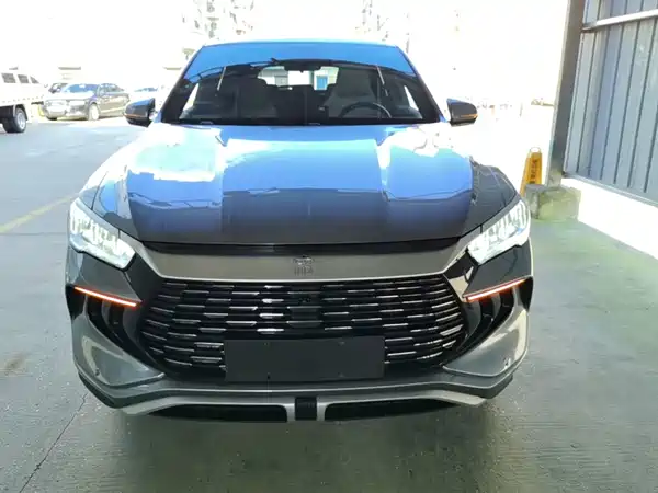 BYD Song Pro New Energy 2024