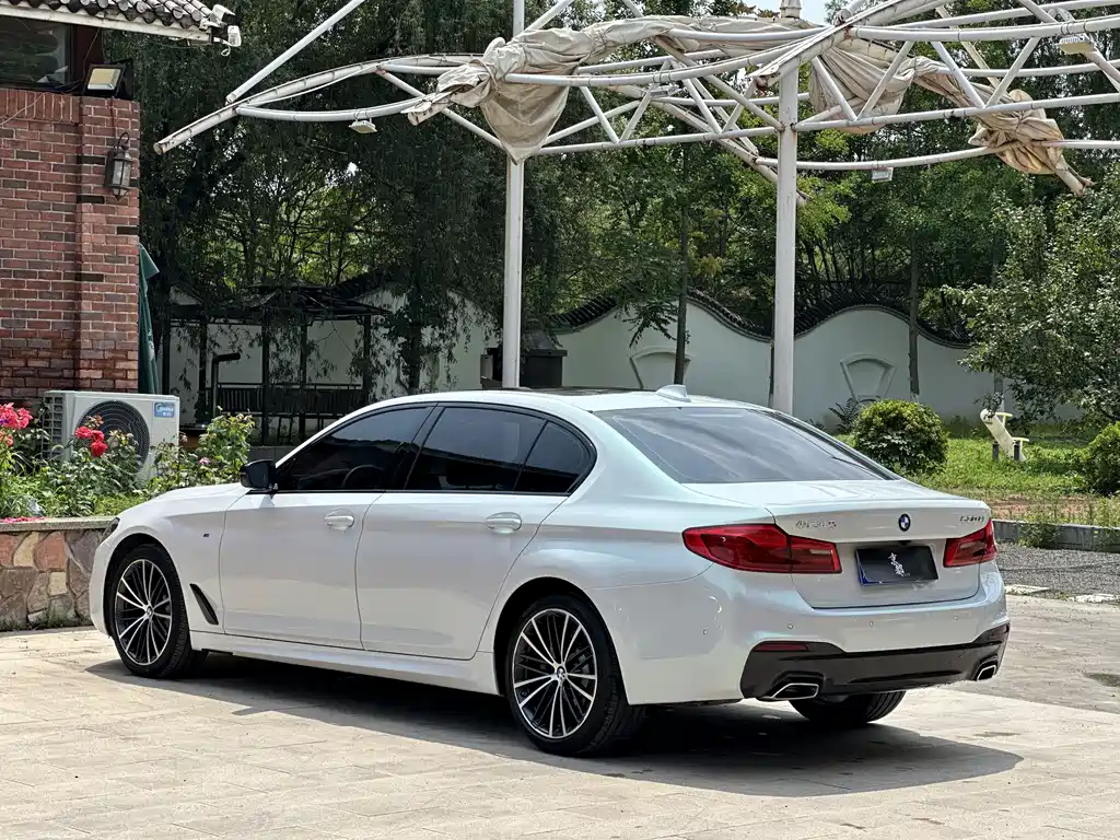 BMW 5 Series 2019