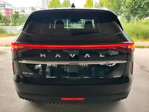 Haval H6 New Energy 2022
