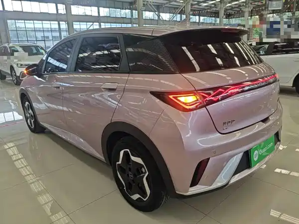 BYD Dolphin 2022