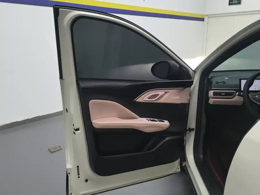 BYD Seagull 2025