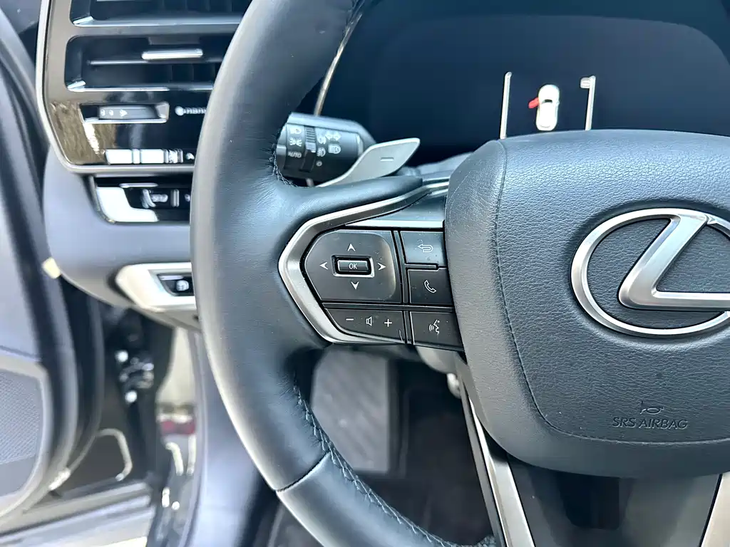 Lexus RX 2025 — фото 15