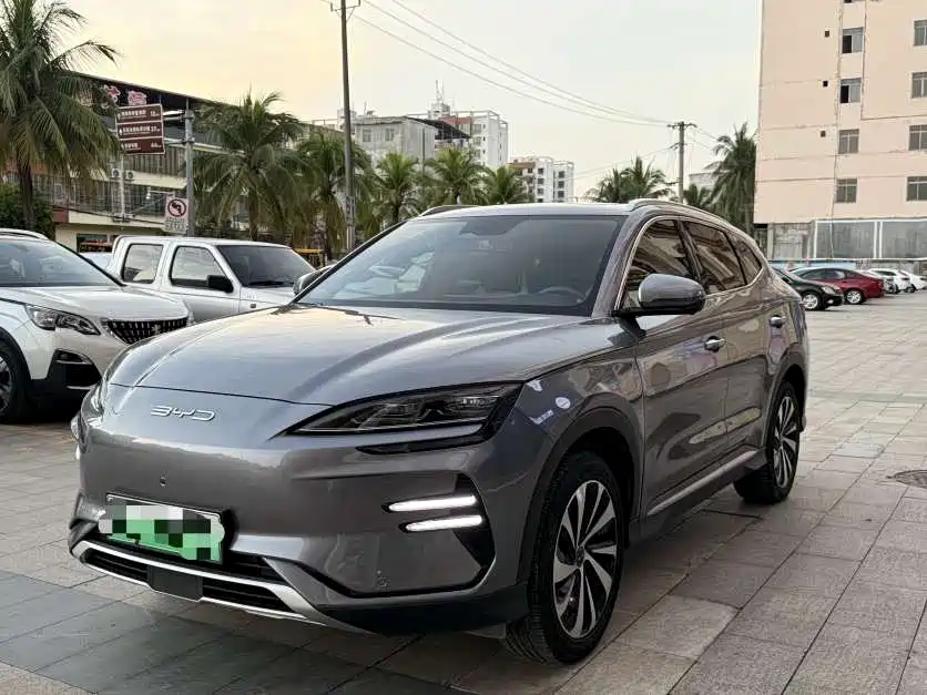 BYD Song PLUS New Energy 2024 — фото 1