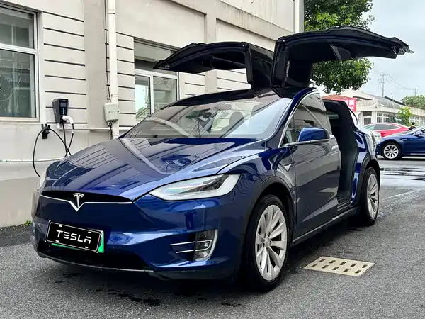Tesla Model X 2020