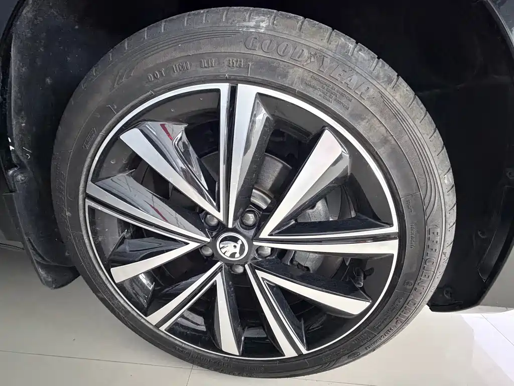 Skoda Speedy 2024 — фото 15