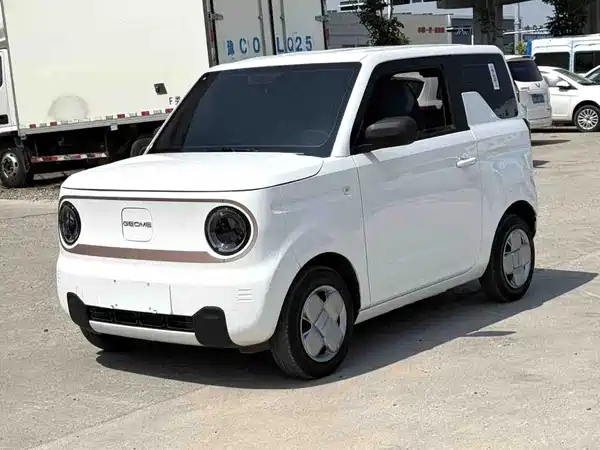 Geely Galaxy Panda 2024