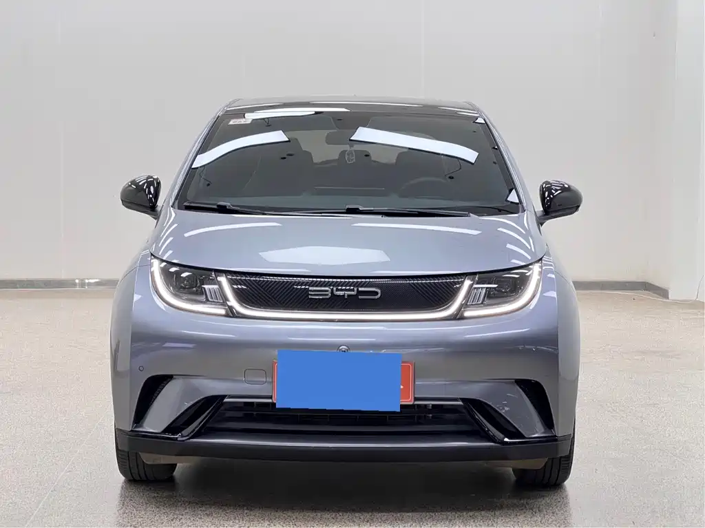 BYD Dolphin 2024
