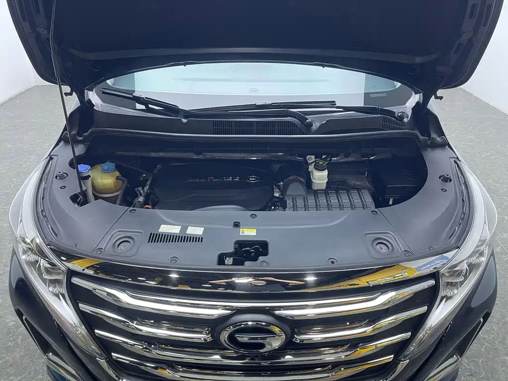 GAC Trumpchi M8 2020 — фото 19