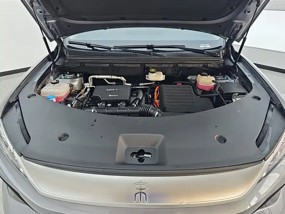 BYD Pro New Energy 2024 — фото 10
