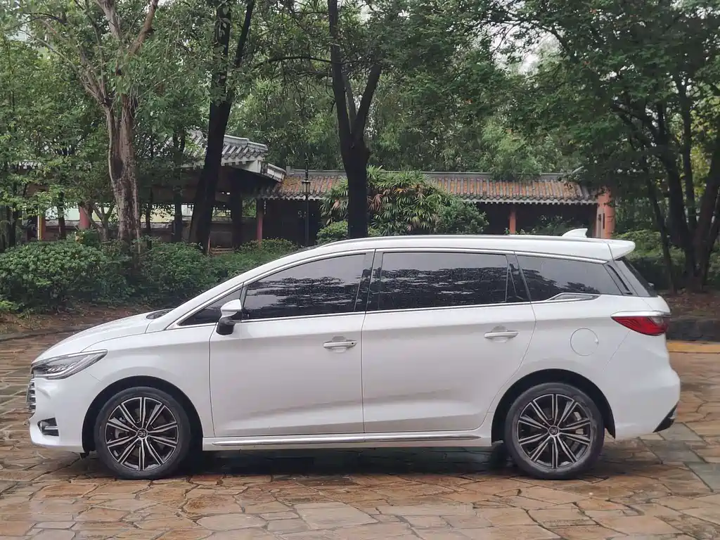 BYD MAX New Energy 2020 — фото 2