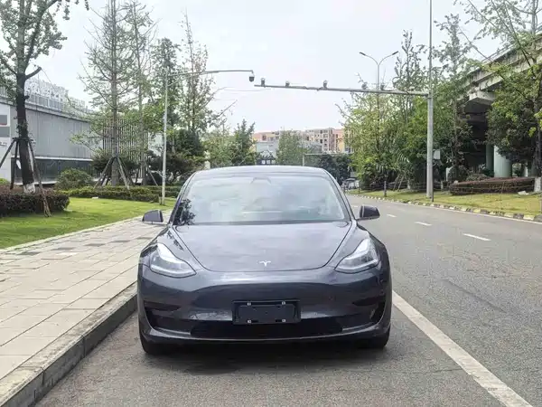 Tesla Model 3 2020