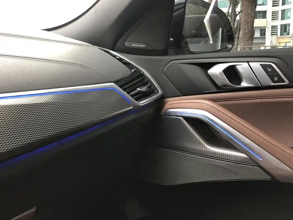 BMW X6 2021 — фото 11