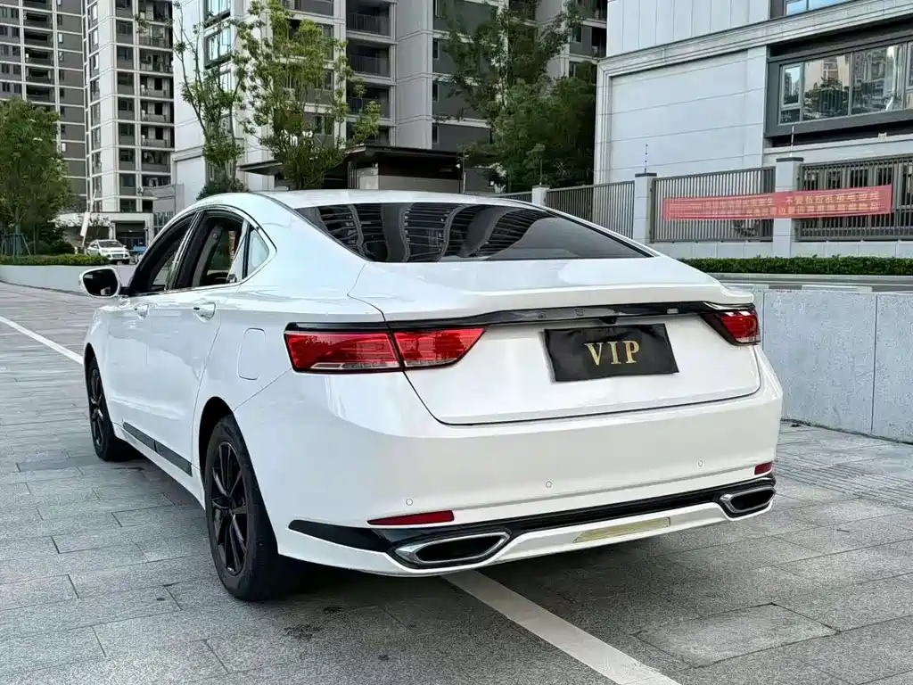 Geely Borui 2022 — фото 10