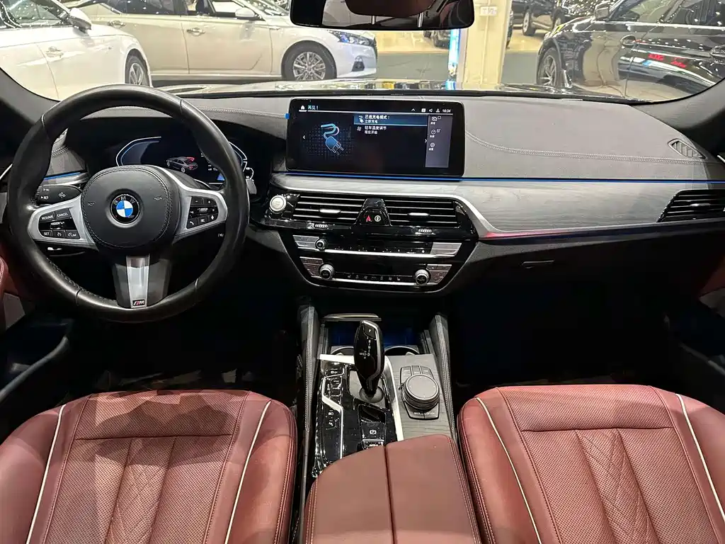 BMW 5 Series New Energy 2021