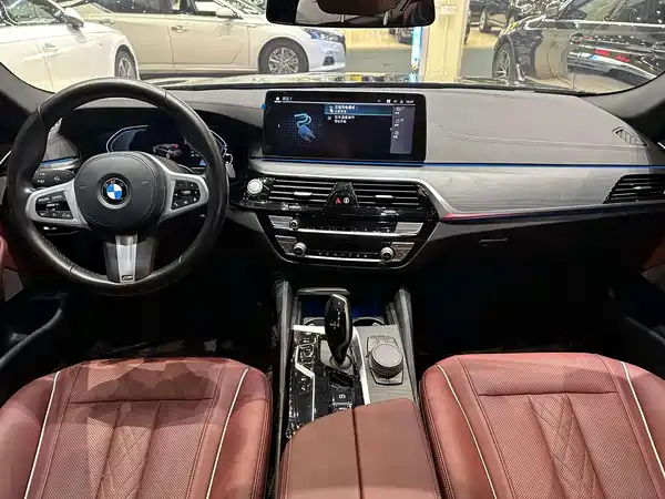 BMW 5 Series New Energy 2021