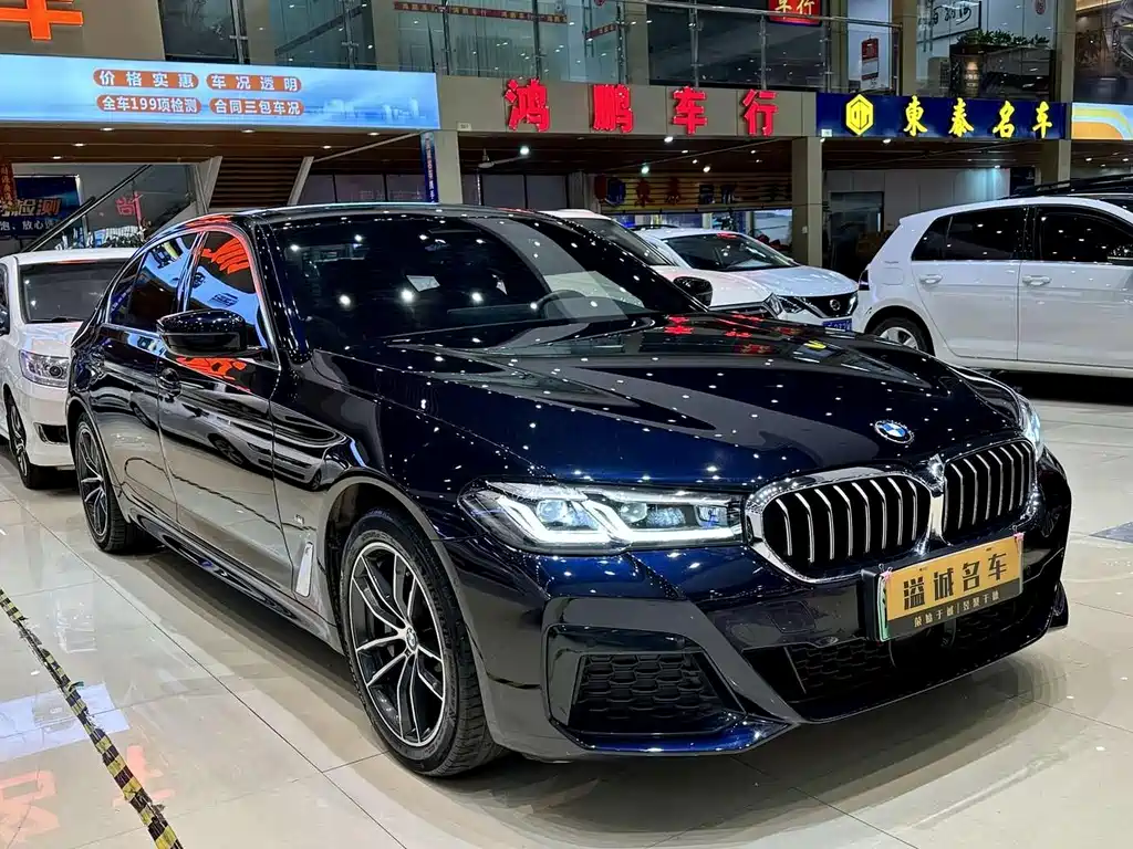 BMW 5 Series New Energy 2021