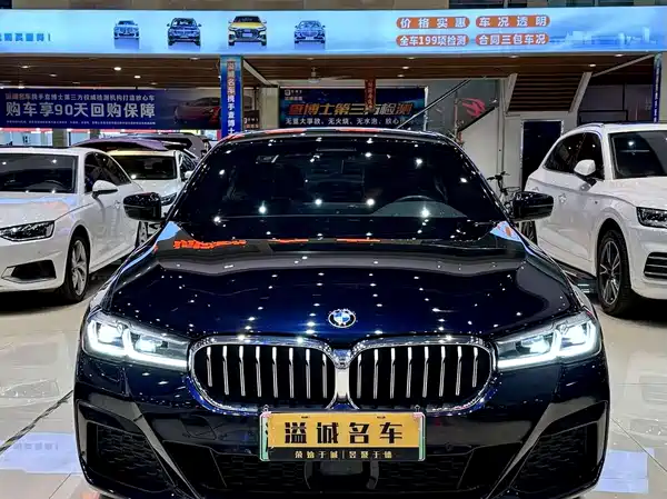 BMW 5 Series New Energy 2021