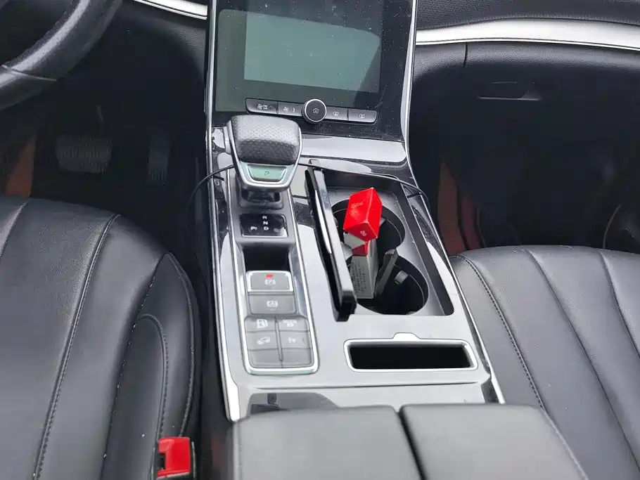 Roewe RX5 eMAX 2020 — фото 16