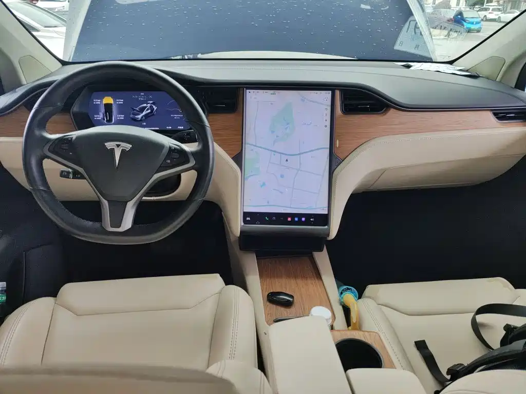 Tesla Model X 2019 — фото 6