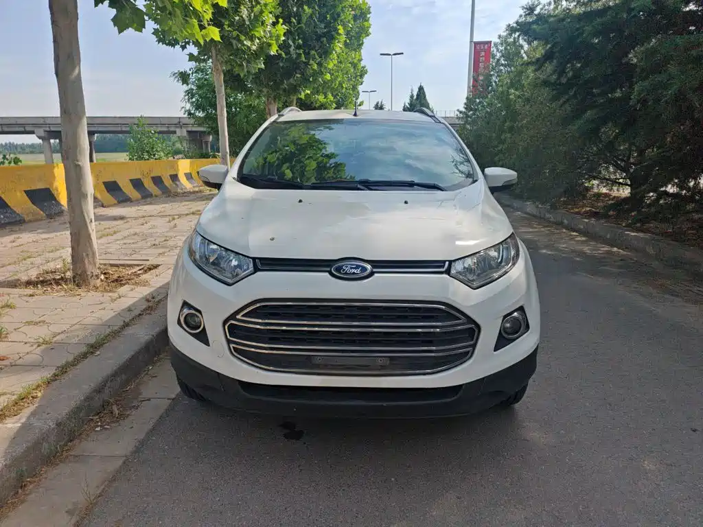 Ford Ecosport 2014 — фото 8