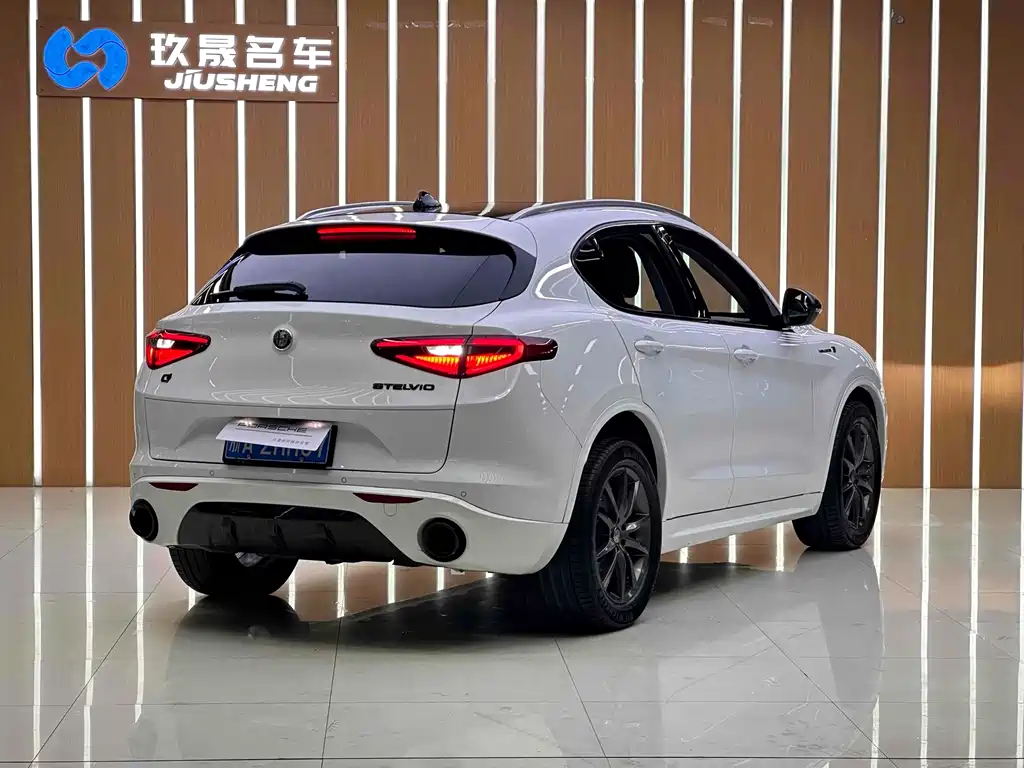 Alfa Romeo Stelvio 2019 — фото 5