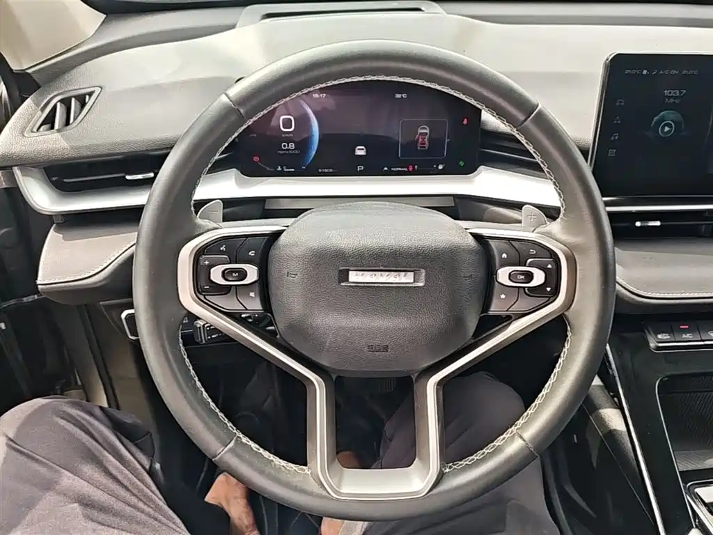 Haval H6 2020 — фото 11