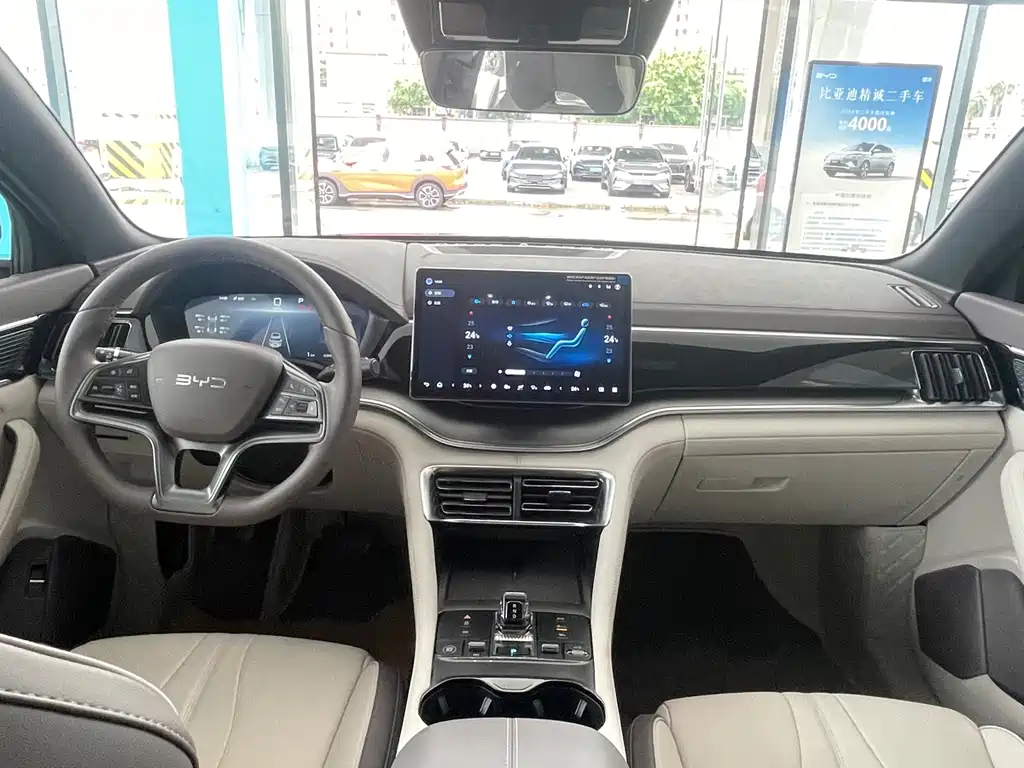 BYD PLUS New Energy 2025 — фото 14