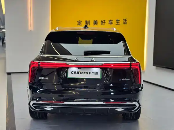 Hongqi E-HS9 2022