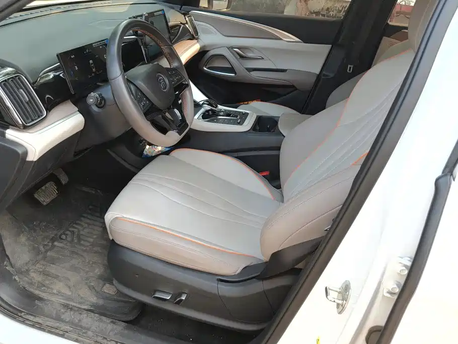 BYD Song Pro New Energy 2024 — фото 9
