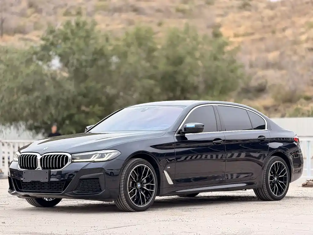 BMW 5 Series 2021