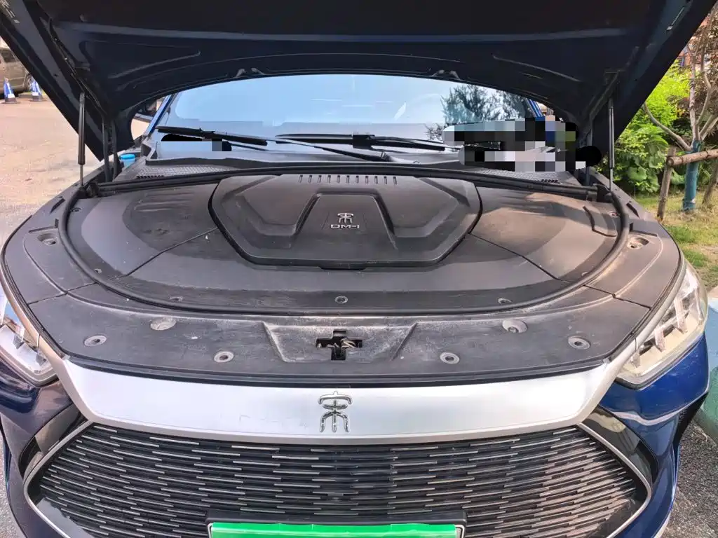 BYD Song PLUS New Energy 2022 — фото 11